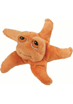 Rozgwiazda Astro 15 cm