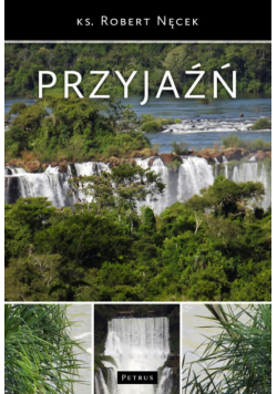 Przyjaźń