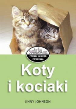 Koty i kociaki