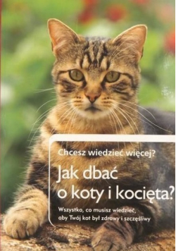 Jak dbać o koty i kocięta