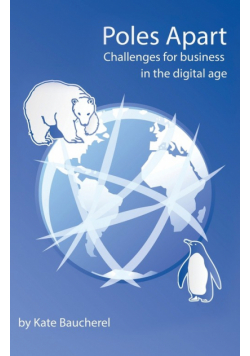Poles Apart - Challenges for Business in the Digital Age