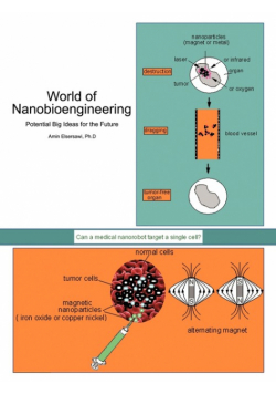 World of Nanobioengineering