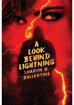 A Look Behind Lightning