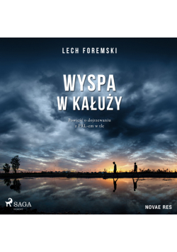 Wyspa w kałuży