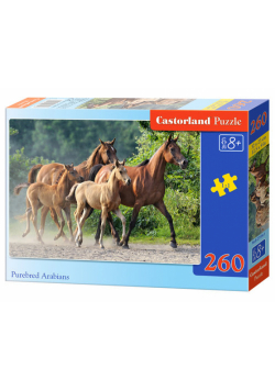 Puzzle Purebred Arabians 260