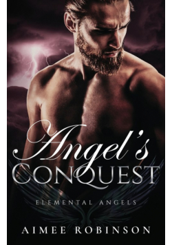 Angel's Conquest