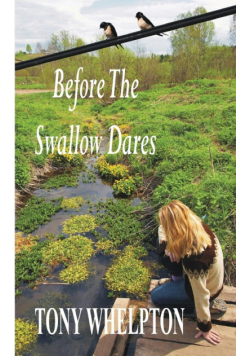 Before the Swallow Dares