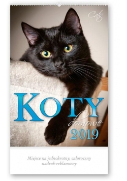 Kalendarz 2019 Reklmowy Koty domowe RW24
