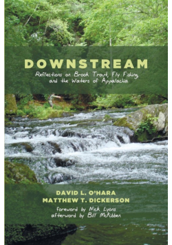Downstream
