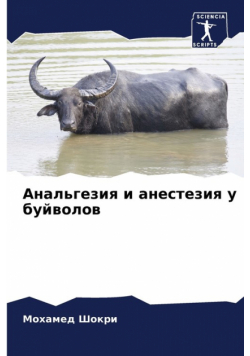 Анальгезия и анестезия у буйволов