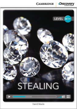 Stealing High Beginning Book with Online Acces