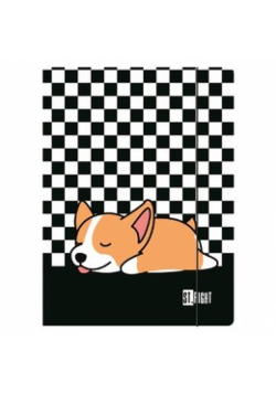 Paczka Teczka A4 z gumką Sleepy Corgi 10 szt.