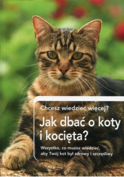 Jak dbać o koty i kocięta? Chcesz wiedzieć więcej?