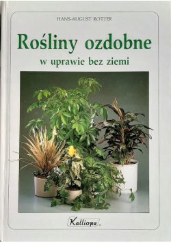 Rośliny ozdobne w uprawie bez ziemi