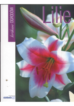 Lilie