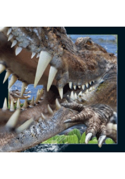 Magnes 3D - Krokodyl