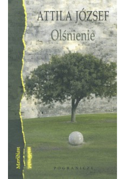 József Attila - Olśnienie