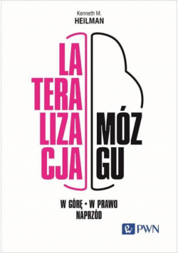 Lateralizacja mózgu. W górę, w prawo, naprzód