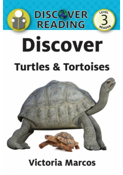 Discover Turtles & Tortoises