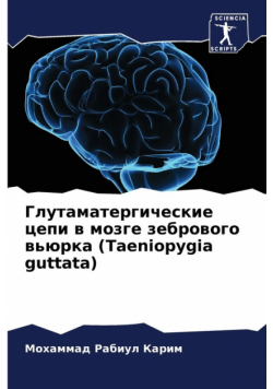 Глутаматергические цепи в мозге зебрового вьюрка (Taeniopygia guttata)