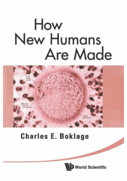 How New Humans Are Made
