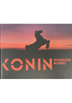 Konin Wszędzie blisko