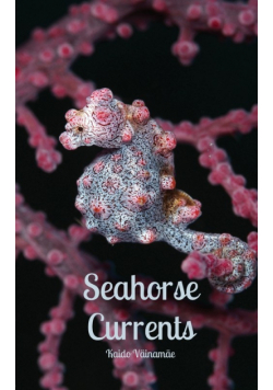 Seahorse Currents