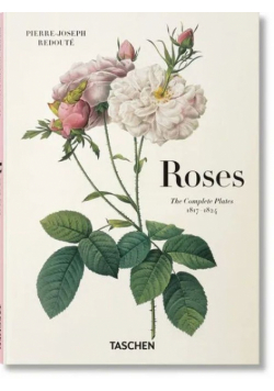 Redoute. Roses wer. angielska