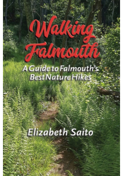 Walking Falmouth