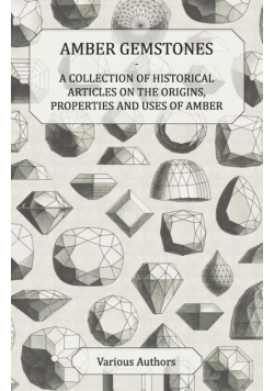 Amber Gemstones - A Collection of Historical Articles on the Origins, Properties and Uses of Amber