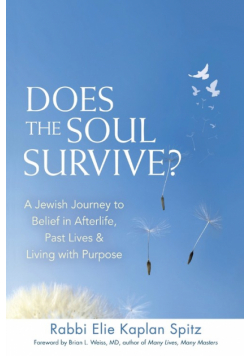 Does the Soul Survive? (2nd Edition)