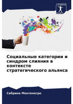 Социальные категории и синдром слияния в контексте стратегического альянса
