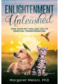 Enlightenment Unleashed