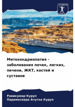 Митохондриопатия - заболевания почек, легких, печени, ЖКТ, костей и суставов