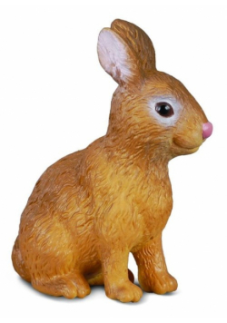 Królik S