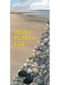 Muszle polskich plaż