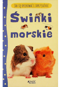 Jak się opiekować i zaprzyjaźnić Świnki morskie
