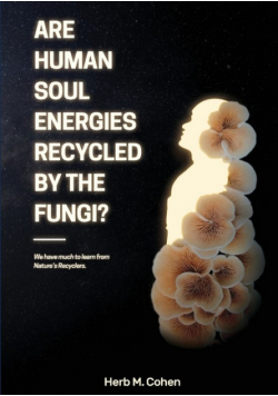 Are Human Soul Energies Recycled By The Fungi?