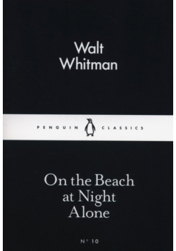 On the Beach at Night Alone