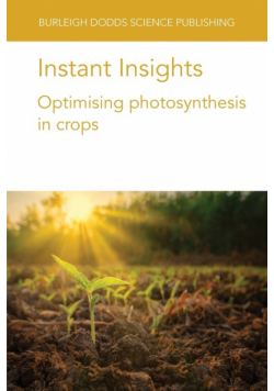 Instant Insights