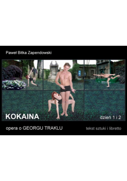 Kokaina