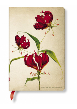 Notatnik Gloriosa Lily Mini linia