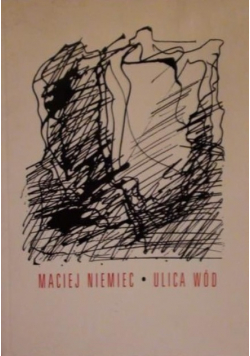 Ulica wód