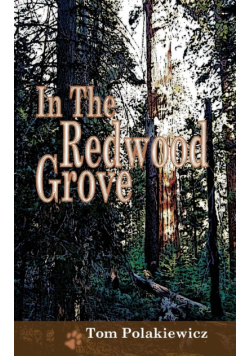 In The Redwood Grove