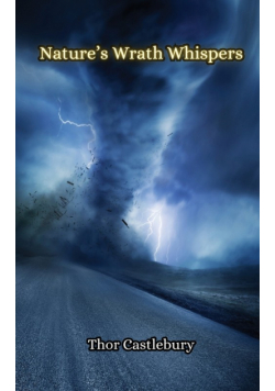 Calamity Cantos