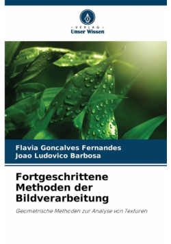 Fortgeschrittene Methoden der Bildverarbeitung