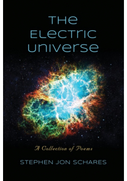 The Electric Universe