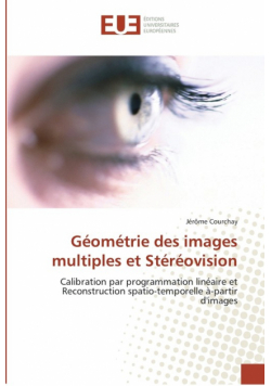 Géométrie des images multiples et stéréovision
