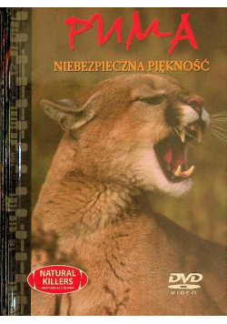 Puma Niebezpieczna piękność DVD