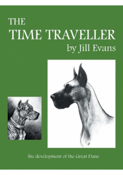 The Time Traveller